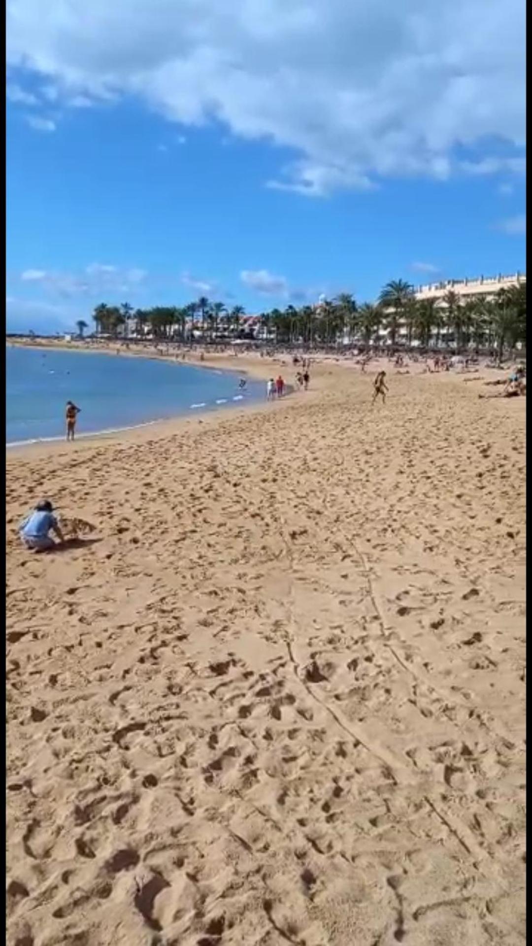 Chill Out Tenerife Sud - Monolocale Con Piscina Riscaldata Costa Del Silencio Zewnętrze zdjęcie